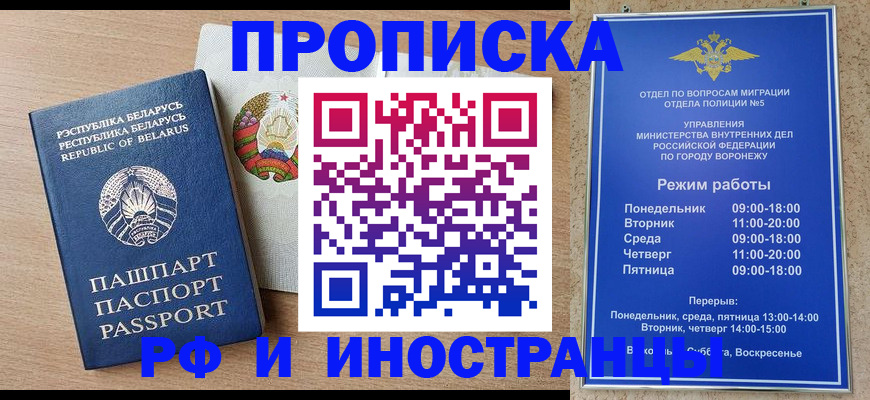 пропишу в квартире в Михайловске